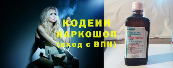 гашик Михайлов