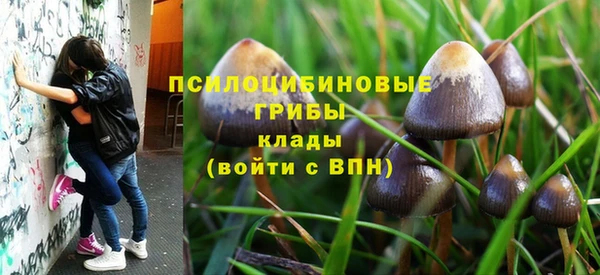трава Абдулино
