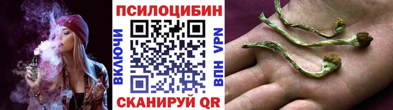 МЕГА   Нариманов  Псилоцибиновые грибы прущие грибы 